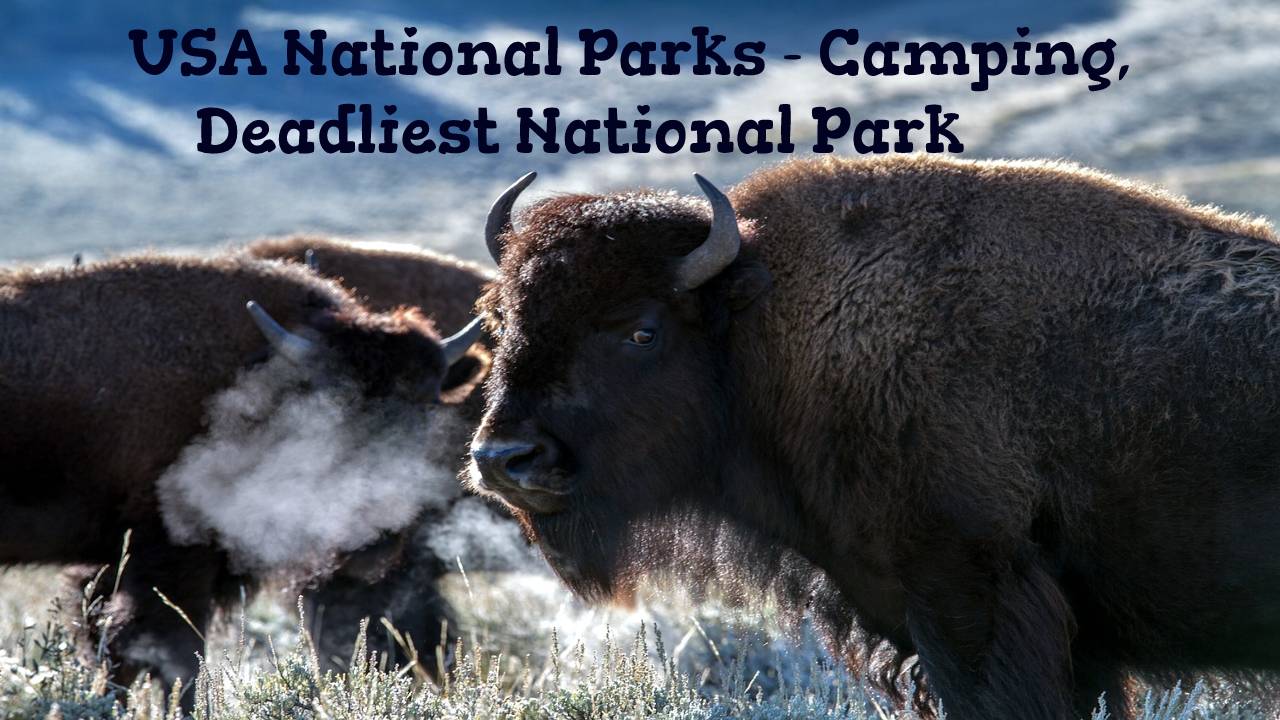 USA National Parks - Camping, Deadliest National Park
