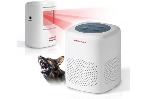 Barking Dog Home