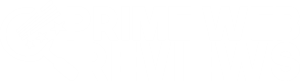 Prime Web Reviews